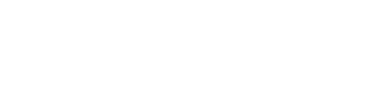 SposaSpose logo